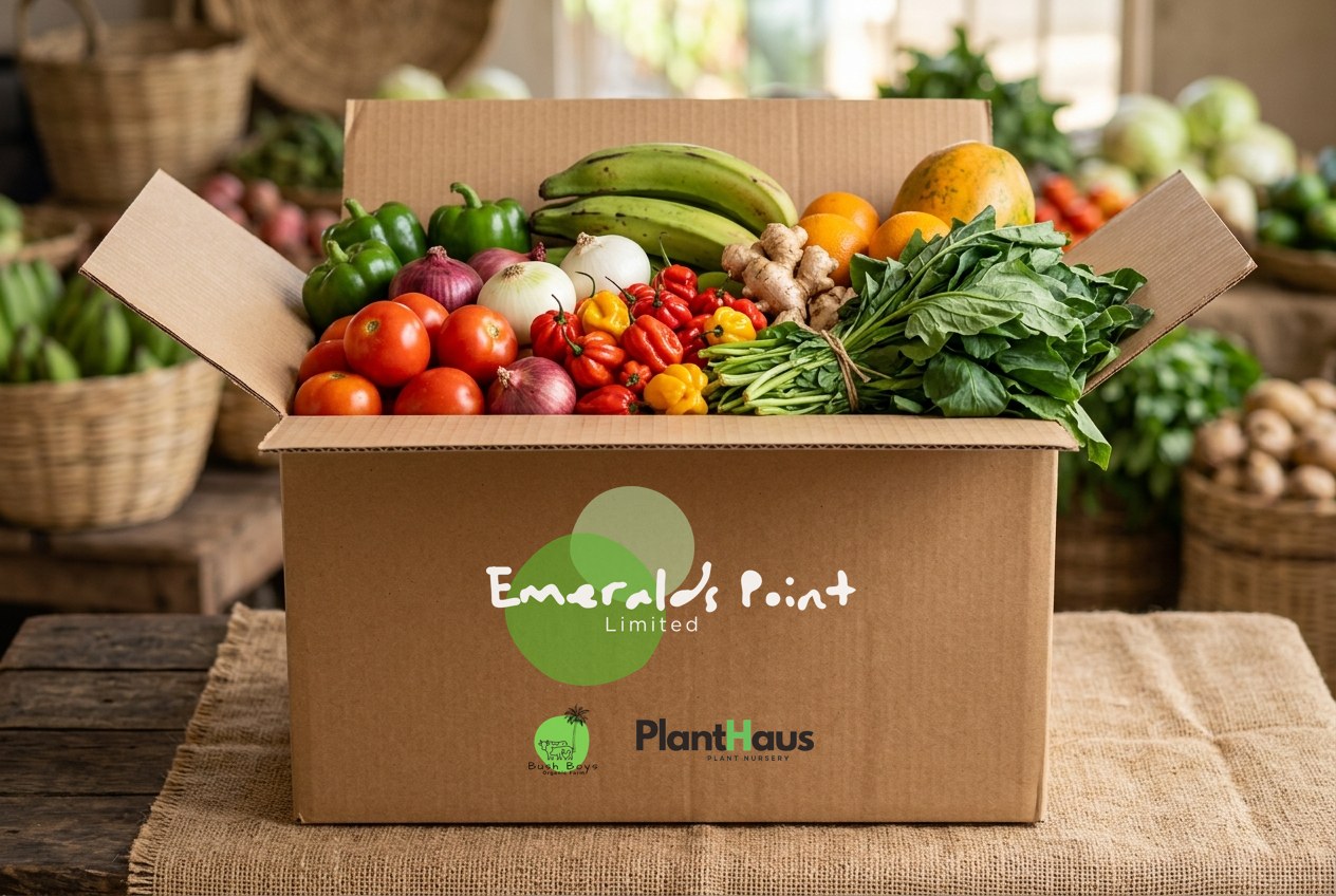 Fresh produce box